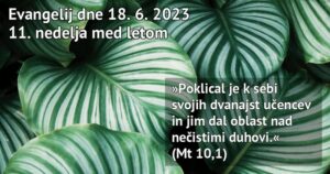 Read more about the article Nedeljska misel – 18.6.2023