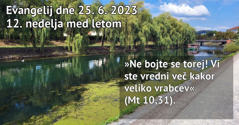 Read more about the article Nedeljska misel – 25.6.2023