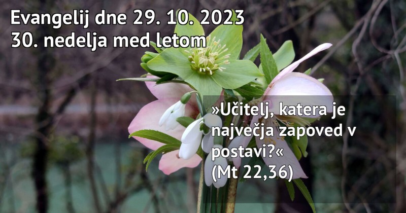 Read more about the article Nedeljska misel – 29.10.2023