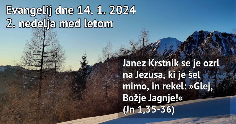 Read more about the article Nedeljska misel – 14.1.2024