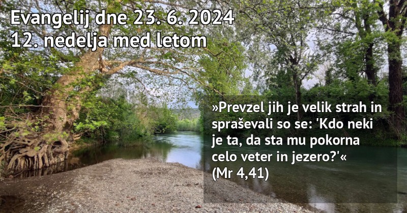 Read more about the article Nedeljska misel – 23.6.2024