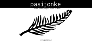 Read more about the article Pasijonke 2024