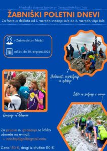 Read more about the article Poletni tabor v Žabnicah 2025