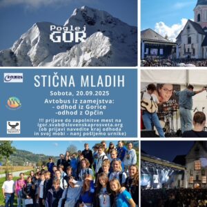 Read more about the article Stična mladih 2025
